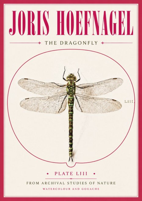 Joris Hoefnagel The Dragonfly No5 - Affiche
