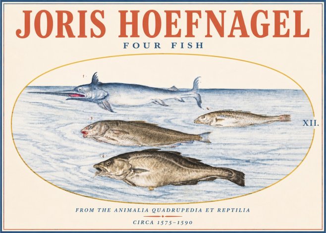 Joris Hoefnagel Four Fish No3 - Affiche