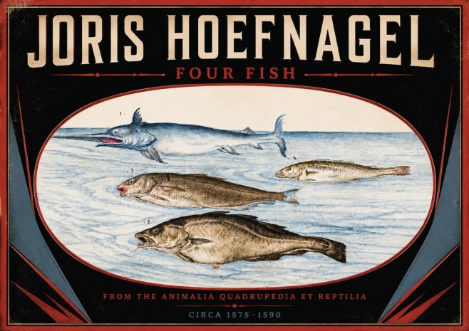 Joris Hoefnagel Four Fish No5 - Affiche