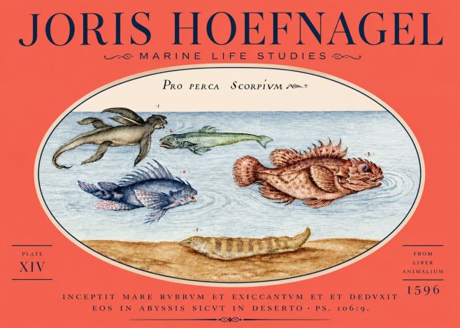 Joris Hoefnagel Pro Perca Scorpivm No5 - Affiche