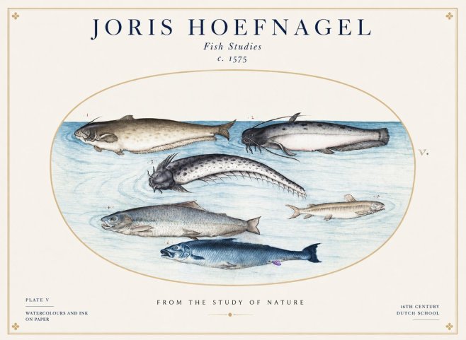 Joris Hoefnagel Fish of the Waters No2 - Affiche