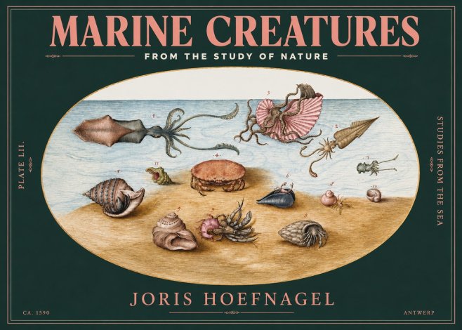 Joris Hoefnagel Marine Creatures - Plate Lii No3 - Affiche