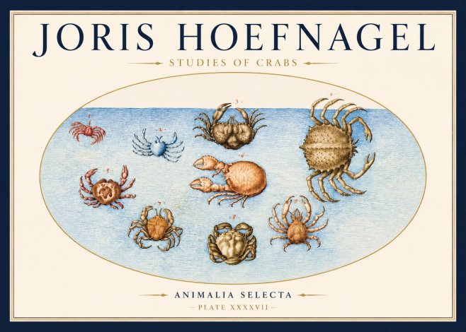 Joris Hoefnagel Studies of Crabs No3 - Affiche