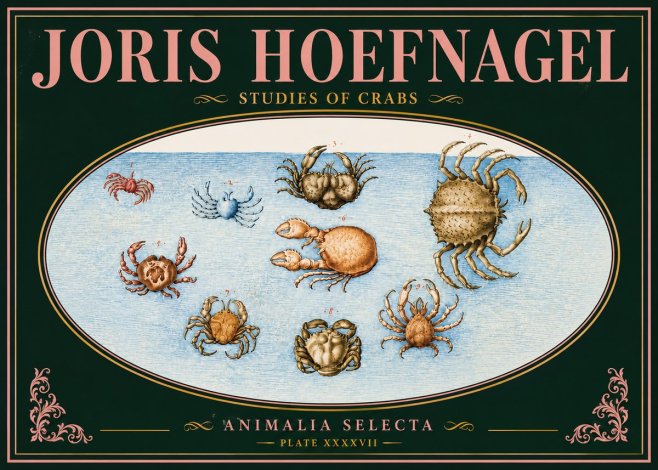 Joris Hoefnagel Studies of Crabs No5 - Affiche