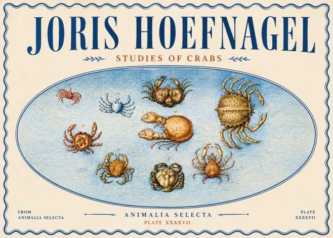 Joris Hoefnagel Studies of Crabs No6 - Affiche