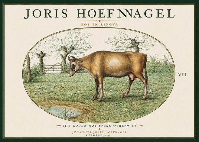 Joris Hoefnagel Bos in Lingva No6 - Affiche