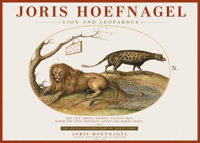 Joris Hoefnagel Lion and Spotted Hyena No4 - Affiche