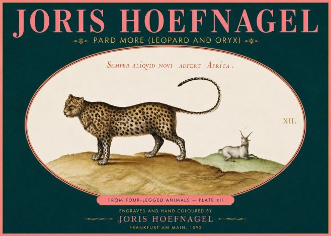 Joris Hoefnagel Pard More (Leopard and Oryx) No5 - Affiche