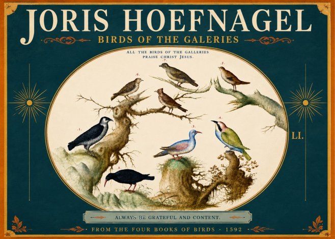 Joris Hoefnagel Birds of the Galeries No5 - Affiche