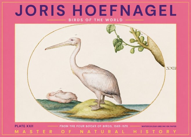 Joris Hoefnagel Plate Xxii No2 - Affiche