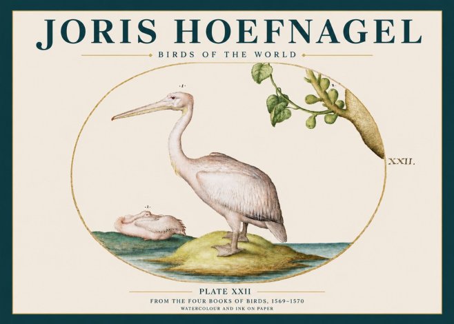 Joris Hoefnagel Plate Xxii No3 - Affiche