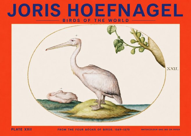 Joris Hoefnagel Plate Xxii No4 - Affiche