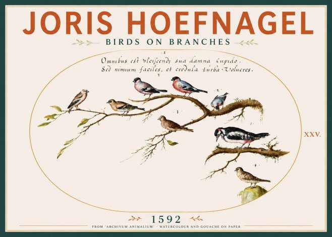 Joris Hoefnagel Birds on Branches No4 - Affiche