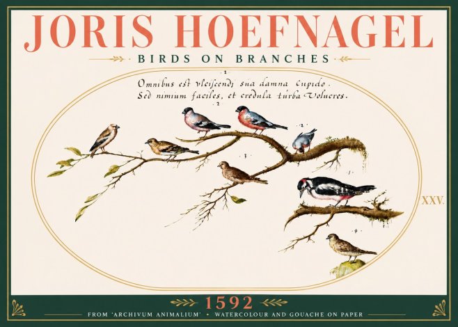 Joris Hoefnagel Birds on Branches No6 - Affiche