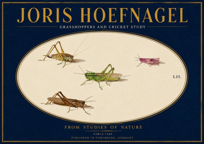 Joris Hoefnagel Three Grasshoppers and a Locust No4 - Affiche
