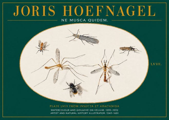 Joris Hoefnagel Plate Lviii from Insecta Et Arachnida No2 - Affiche