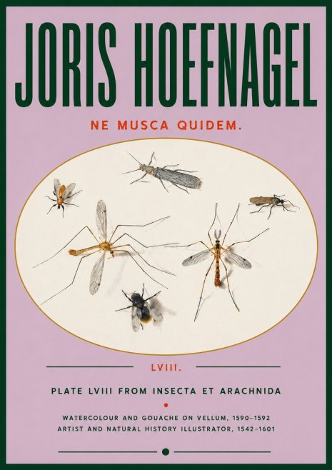 Joris Hoefnagel Plate Lviii from Insecta Et Arachnida No4 - Affiche