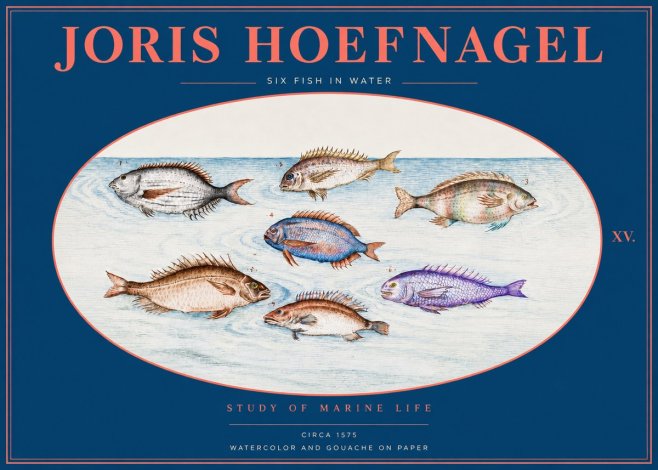 Joris Hoefnagel Six Fish in Water No2 - Affiche