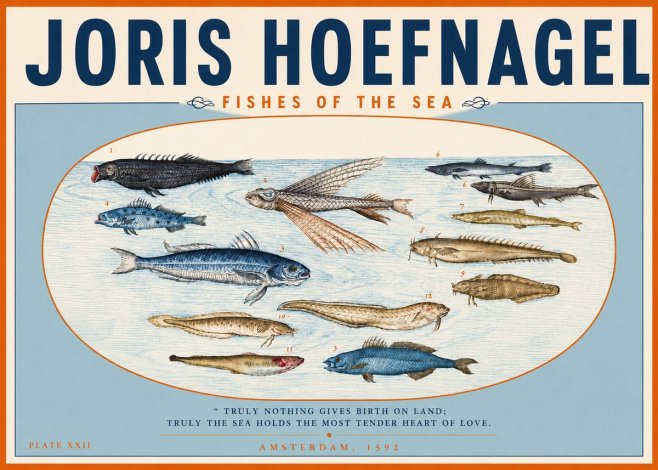 Joris Hoefnagel Fishes of the Sea I No3 - Affiche