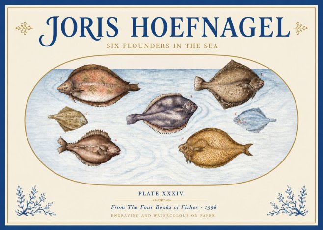 Joris Hoefnagel Six Flounders in the Sea No3 - Affiche