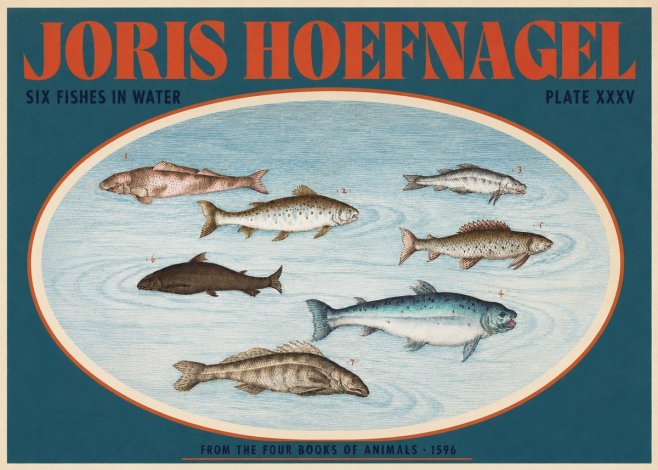 Joris Hoefnagel Six Fishes in Water I No2 - Affiche