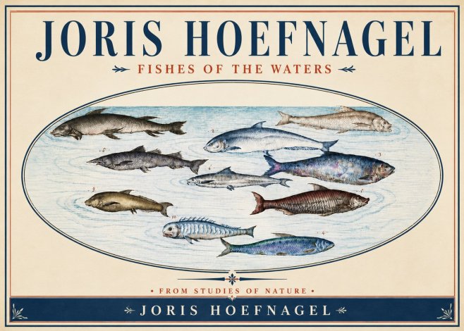 Joris Hoefnagel Fishes of the Waters II No4 - Affiche