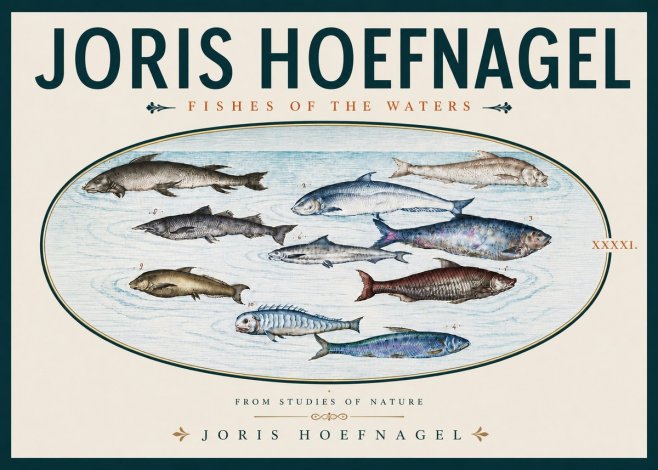 Joris Hoefnagel Fishes of the Waters II No5 - Affiche