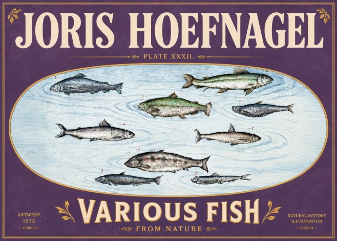 Joris Hoefnagel Various Fish from Nature No6 - Affiche