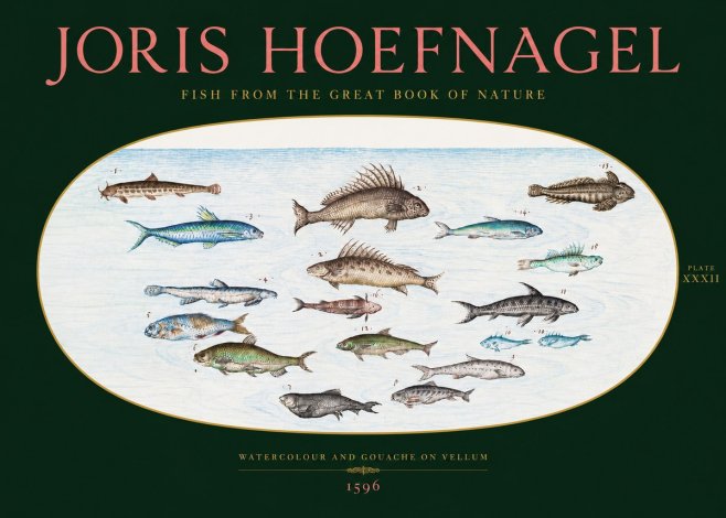 Joris Hoefnagel Fish from the Great Book of Nature No2 - Affiche