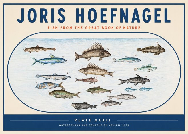 Joris Hoefnagel Fish from the Great Book of Nature No3 - Affiche