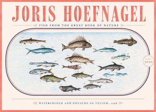 Joris Hoefnagel Fish from the Great Book of Nature No5 - Affiche