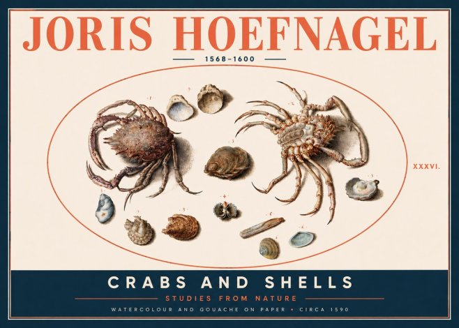 Joris Hoefnagel Crabs and Shells - Studies from Nature No4 - Affiche