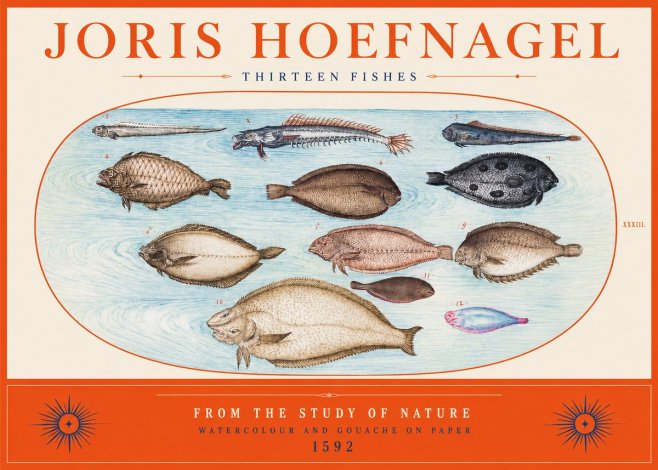 Joris Hoefnagel Thirteen Fishes from the Study of Nature No2 - Affiche