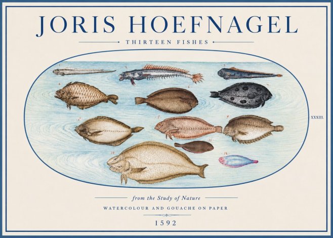 Joris Hoefnagel Thirteen Fishes from the Study of Nature No4 - Affiche