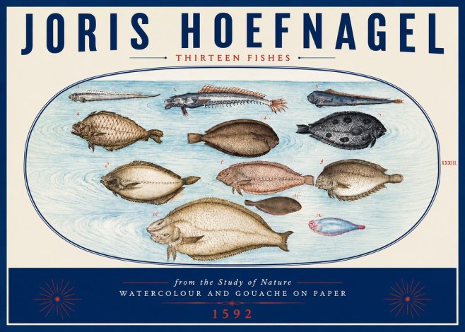 Joris Hoefnagel Thirteen Fishes from the Study of Nature No6 - Affiche