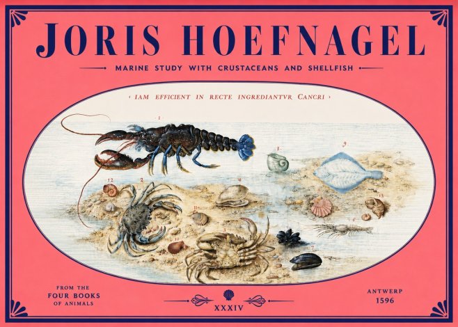 Joris Hoefnagel Marine Study with Crustaceans and Shellfish No4 - Affiche