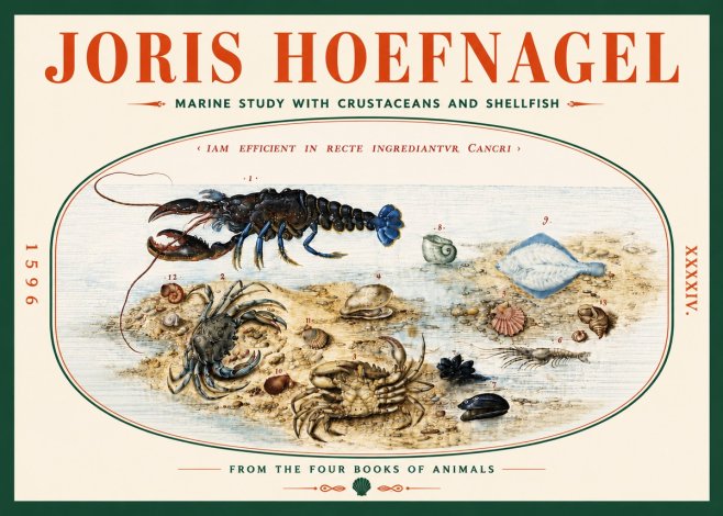 Joris Hoefnagel Marine Study with Crustaceans and Shellfish No5 - Affiche