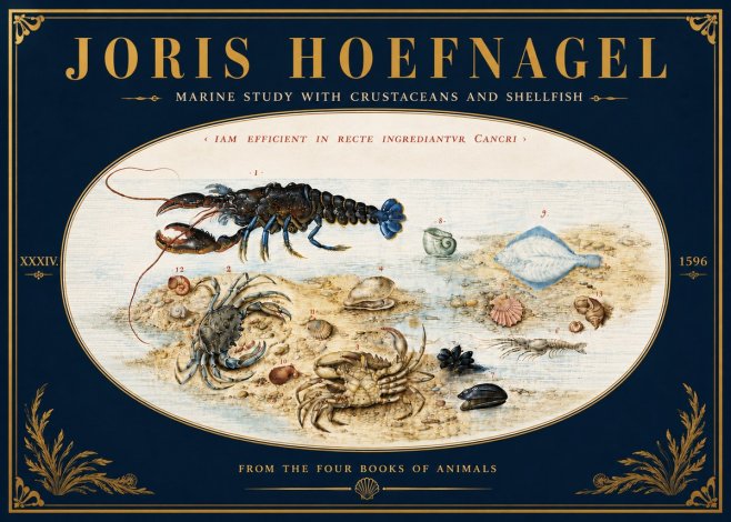 Joris Hoefnagel Marine Study with Crustaceans and Shellfish No6 - Affiche