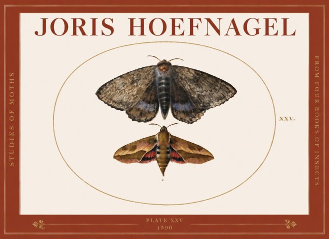 Joris Hoefnagel Studies of Moths I No3 - Affiche