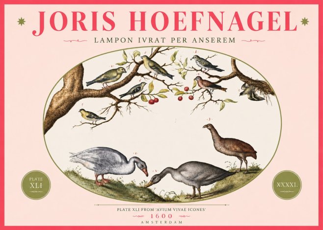 Joris Hoefnagel Lampon Ivrat per Anserem No4 - Affiche