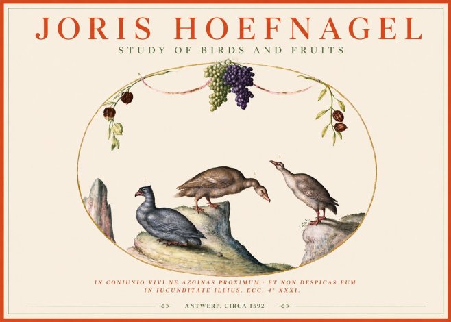 Joris Hoefnagel Three Birds with Grapes and Inscription No4 - Affiche