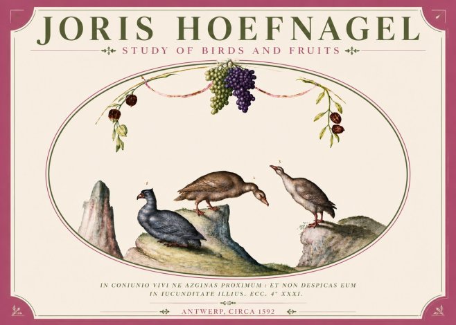 Joris Hoefnagel Three Birds with Grapes and Inscription No6 - Affiche