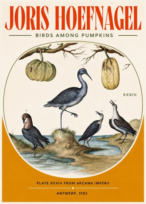Joris Hoefnagel Birds and Fruits No4 - Affiche