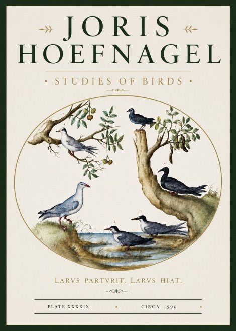 Joris Hoefnagel Studies of Birds II No3 - Affiche