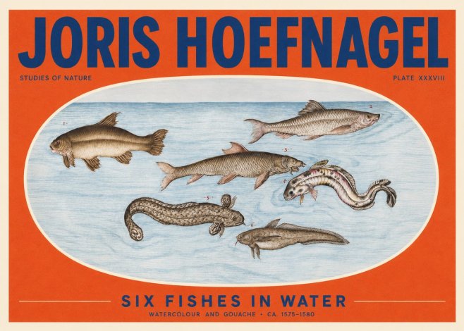 Joris Hoefnagel Six Fishes in Water II No2 - Affiche