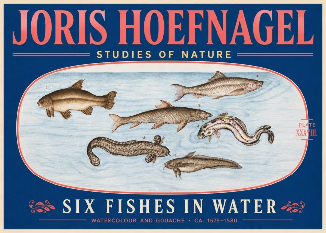 Joris Hoefnagel Six Fishes in Water II No5 - Affiche