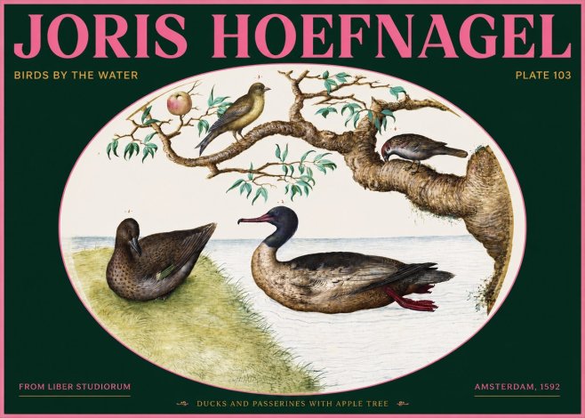 Joris Hoefnagel Ducks and Passerines with Apple Tree No2 - Affiche