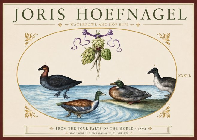 Joris Hoefnagel Waterfowl and Hop Bine No3 - Affiche
