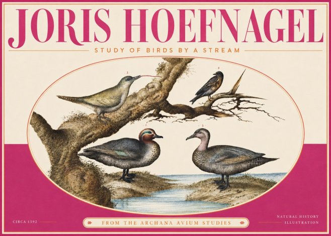 Joris Hoefnagel Study of Birds by a Stream No4 - Affiche