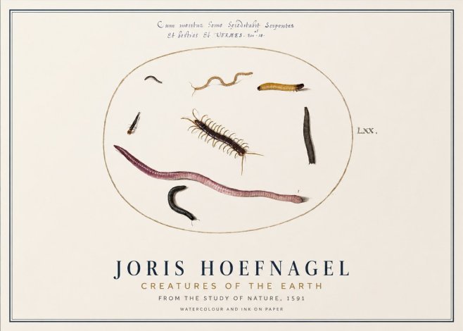 Joris Hoefnagel Creatures of the Earth II No1 - Affiche